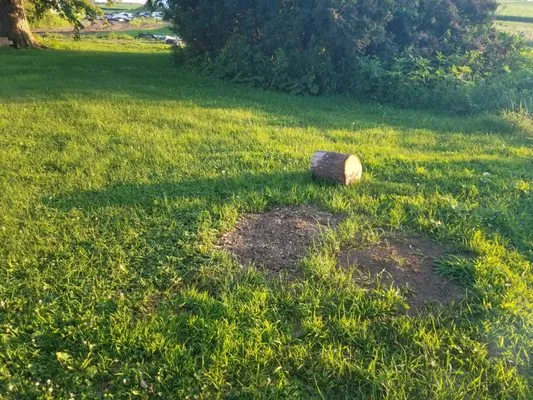 Peterson Stump Grinding