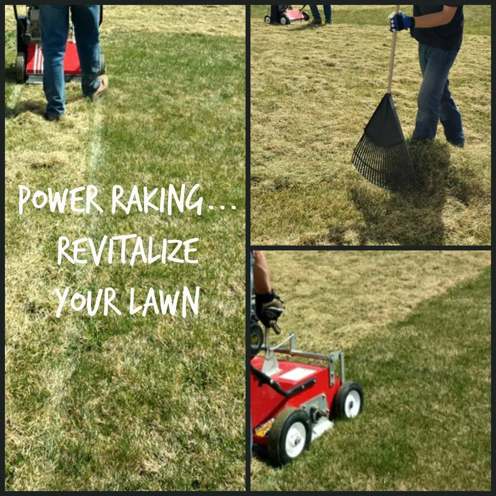 Affordable lawn care service for homes across Idaho Falls, ID - Petersons Lawn and Tree Care