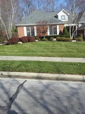 Peterson's Lawn Care & Landscape Maintenance Logo