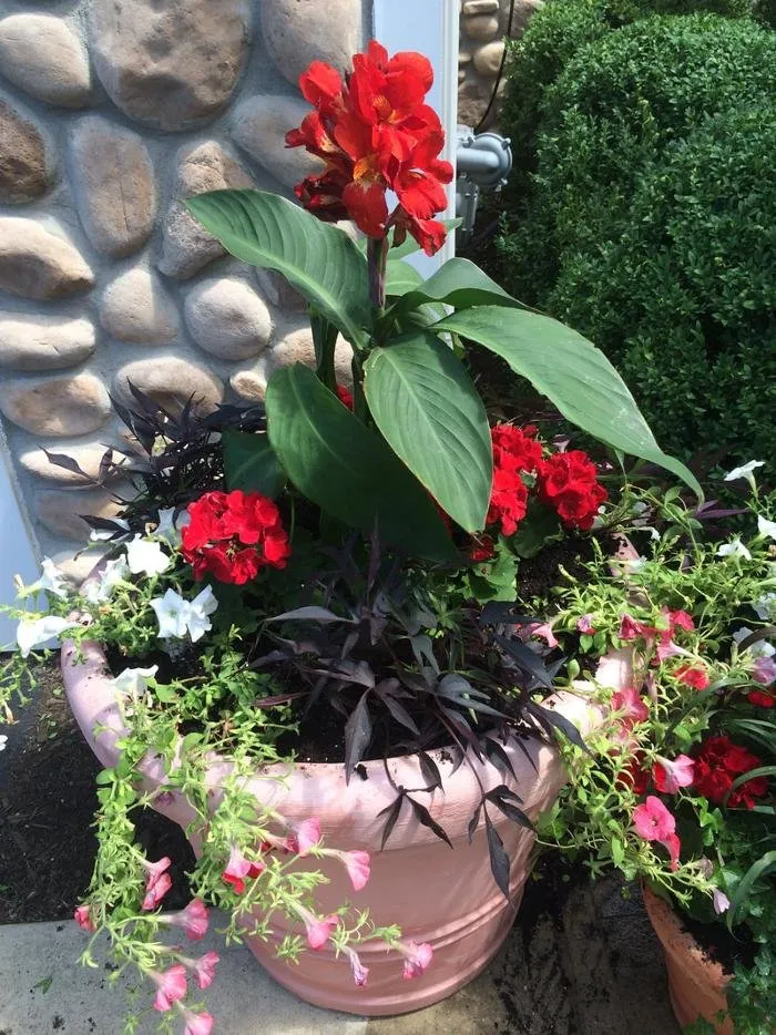 Affordable lawn mowing service for year-round maintenance across Princeton, NJ - Peterson's Nursery