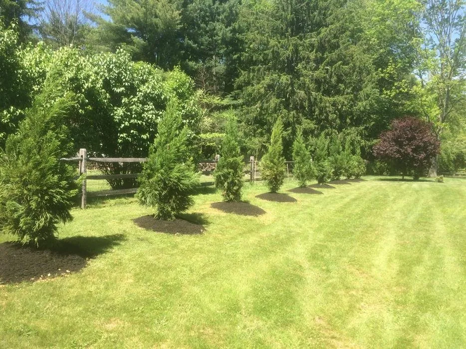Top-rated landscaping services experts serving Princeton, NJ - Peterson's Nursery