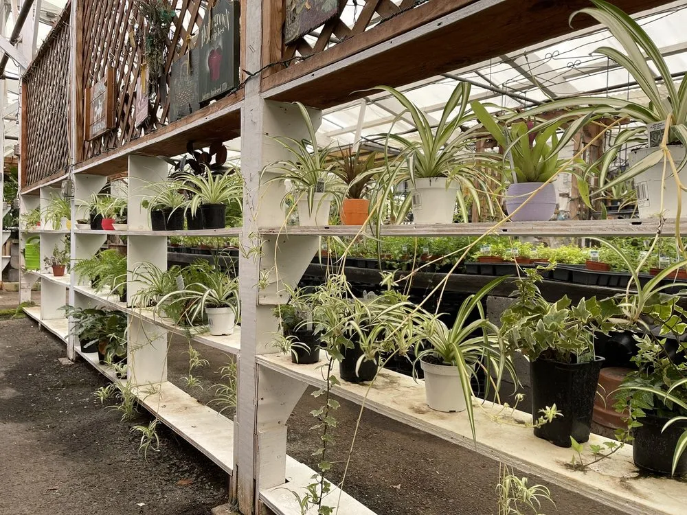 Top-rated landscaping services experts serving Princeton, NJ - Peterson's Nursery