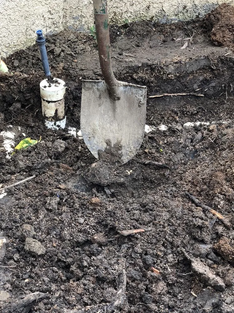 Local landscape installation in Orange, CA by Peterson's Tree Works