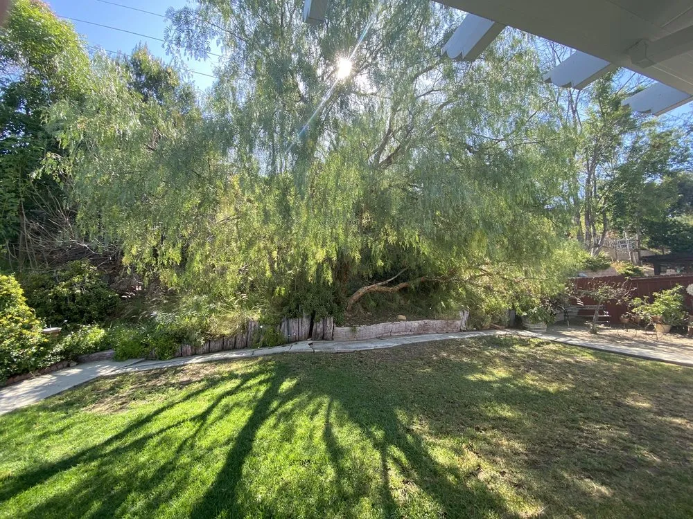 Affordable landscape design for year-round maintenance in Orange, CA by Peterson's Tree Works