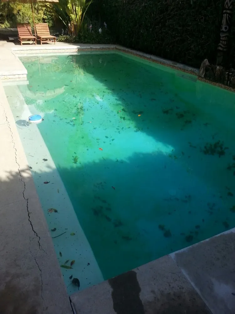 Trusted lawn care service for beautiful yards across Orange, CA - Peterson's Tree Works