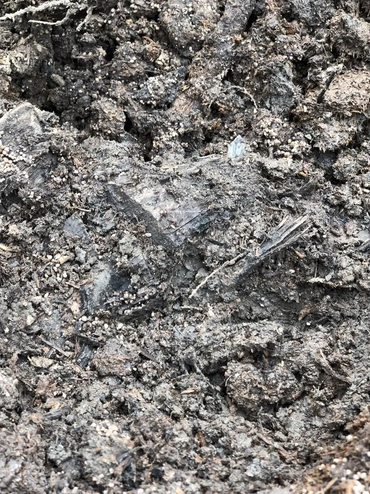 Professional lawn mowing service experts serving Orange, CA - Peterson's Tree Works