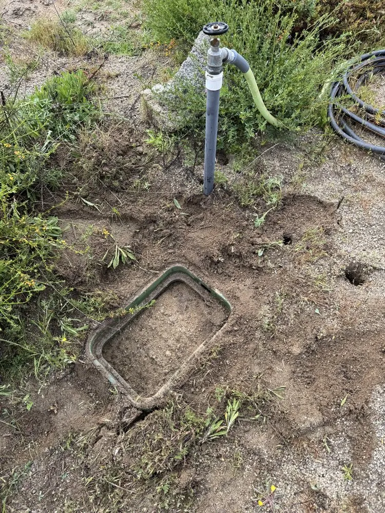 Professional yard cleanup service for residential properties in Fresno, CA by Petes Landscape Construction