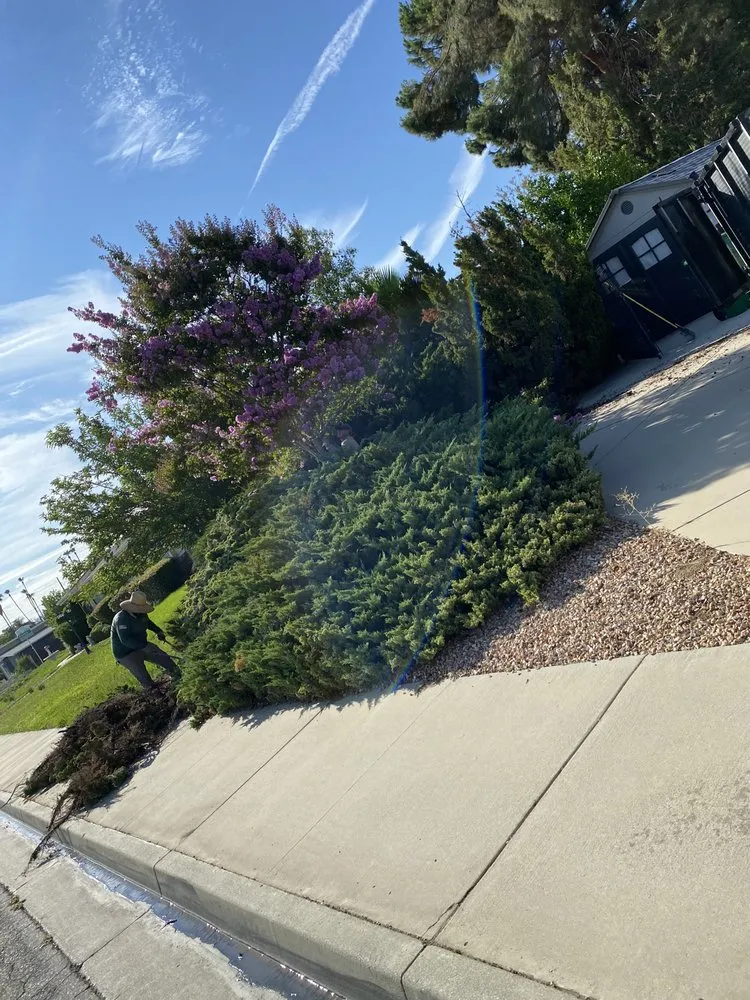 Local landscaping services in Fresno, CA - Petes Landscape Construction