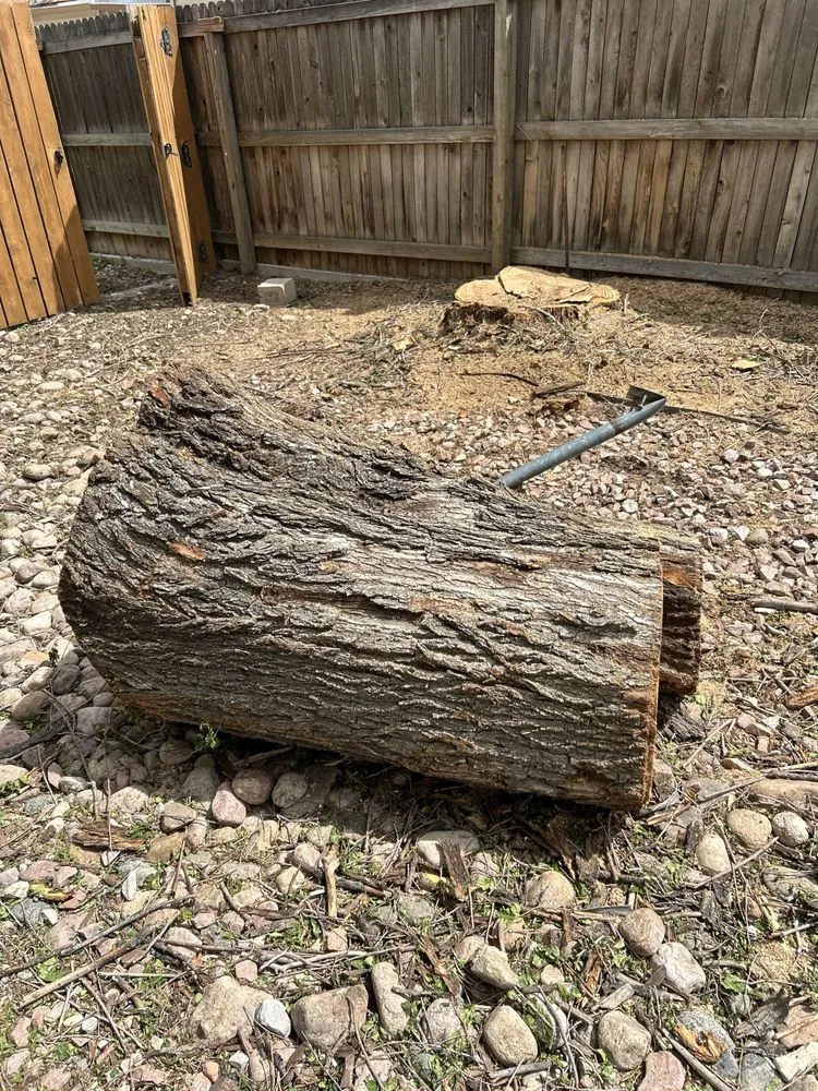 Professional landscaping services in Lakewood, CO by Pete’s Landscape Tree Care