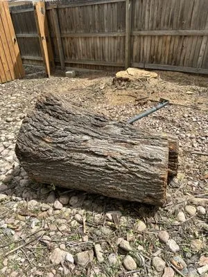 Pete’s Landscape Tree Care Logo