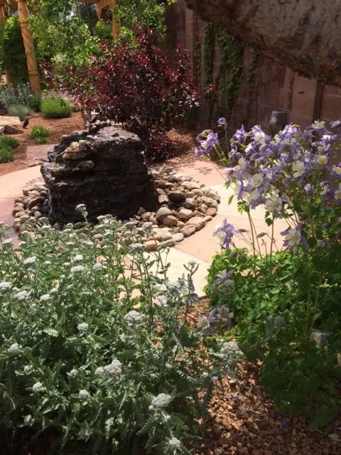 Local landscape design in Albuquerque, NM by Pete's Landscaping & Materials