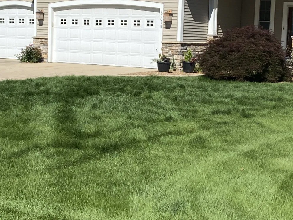 Reliable yard cleanup service experts serving Spring Lake, MI - Pete's Lawn Care