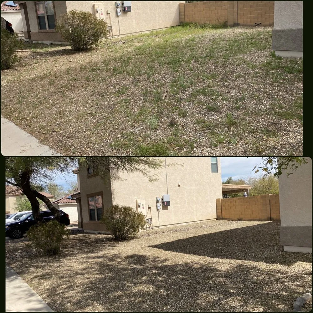 Top-rated lawn mowing service near you across Surprise, AZ - Pete's Lawn care