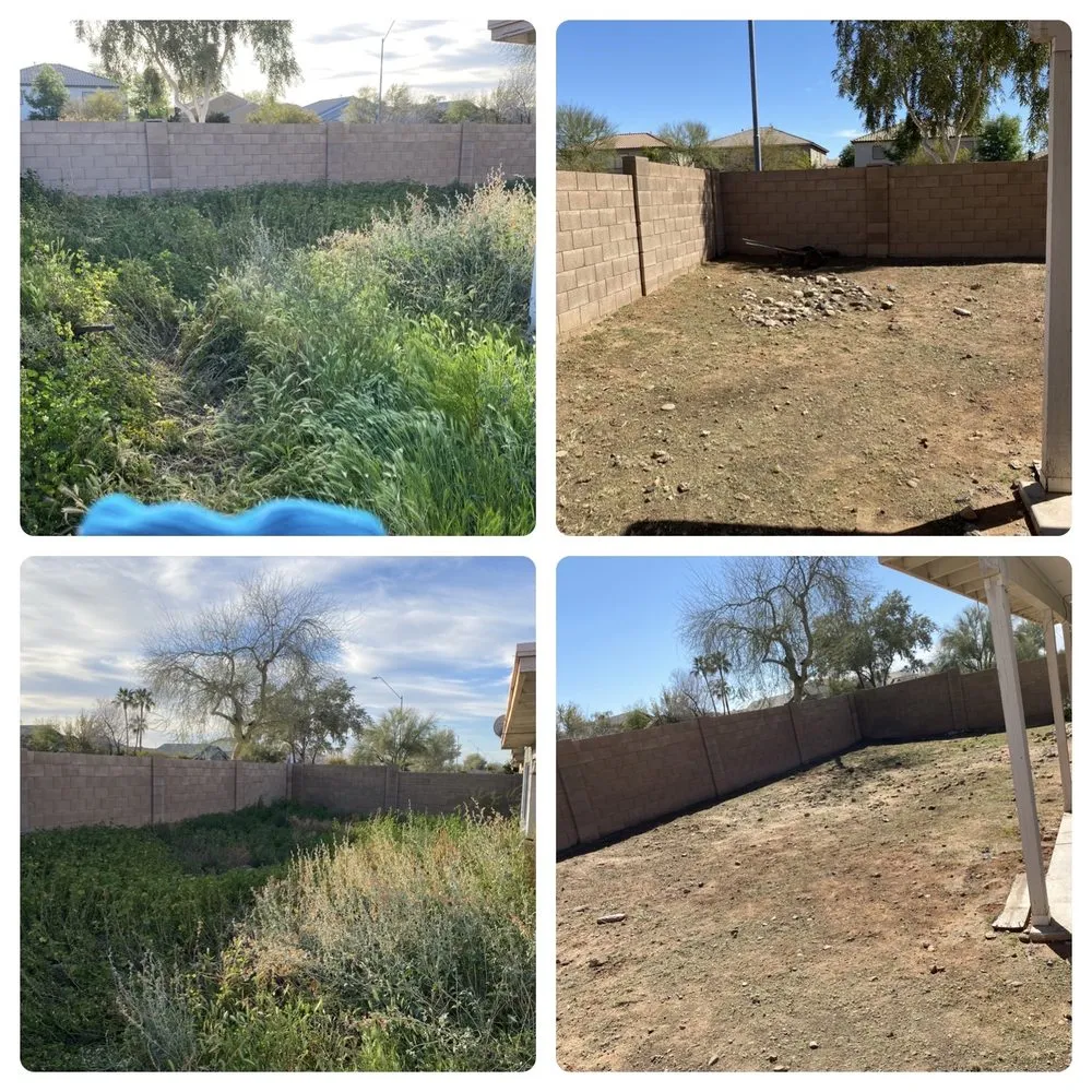 Custom lawn mowing service experts serving Surprise, AZ - Pete's Lawn care