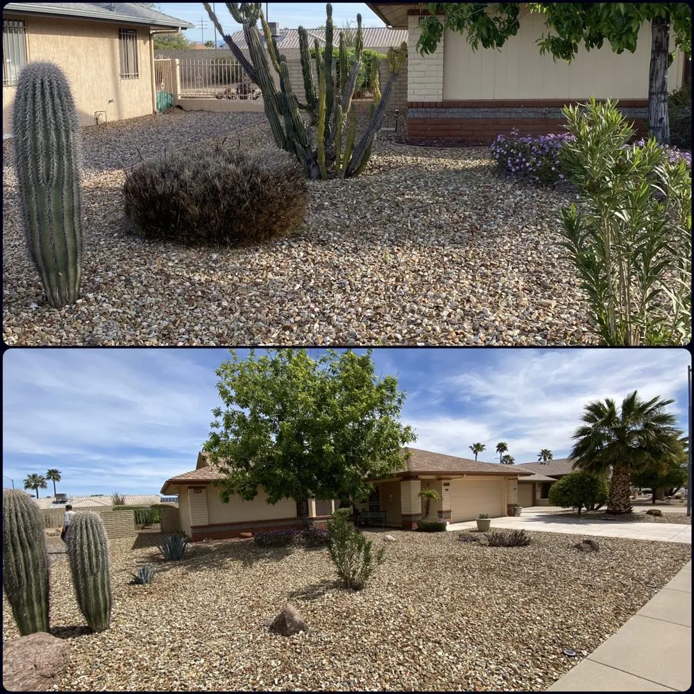Top-rated yard cleanup service for year-round maintenance across Surprise, AZ - Pete's Lawn care