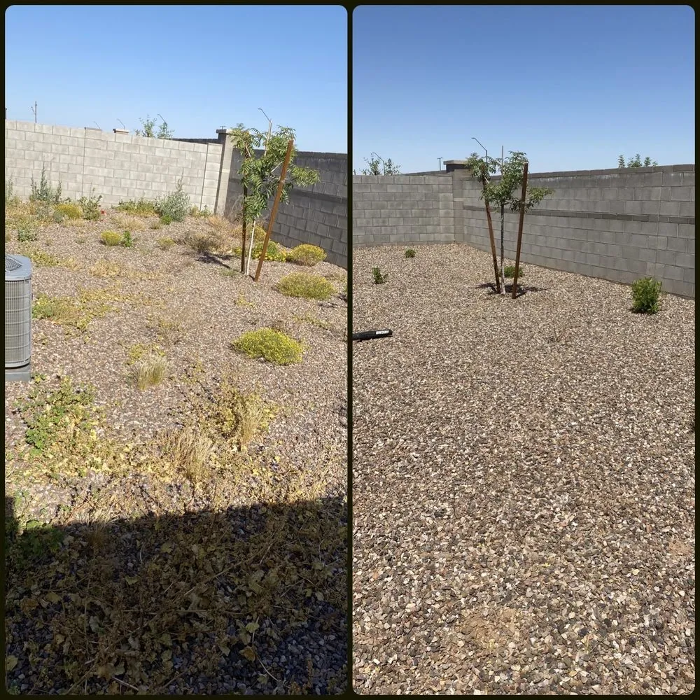 Professional garden landscaping in Surprise, AZ by Pete's Lawn care