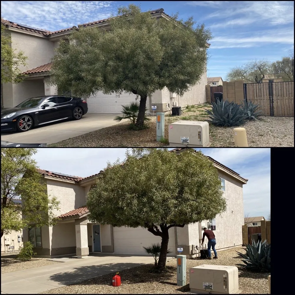 Reliable residential landscaping in Surprise, AZ by Pete's Lawn care