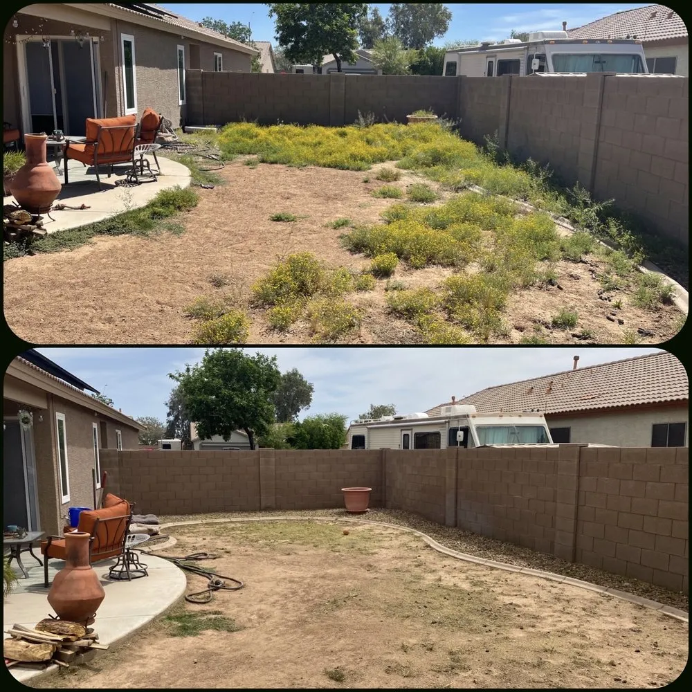 Custom landscape design for outdoor upgrades across Surprise, AZ - Pete's Lawn care
