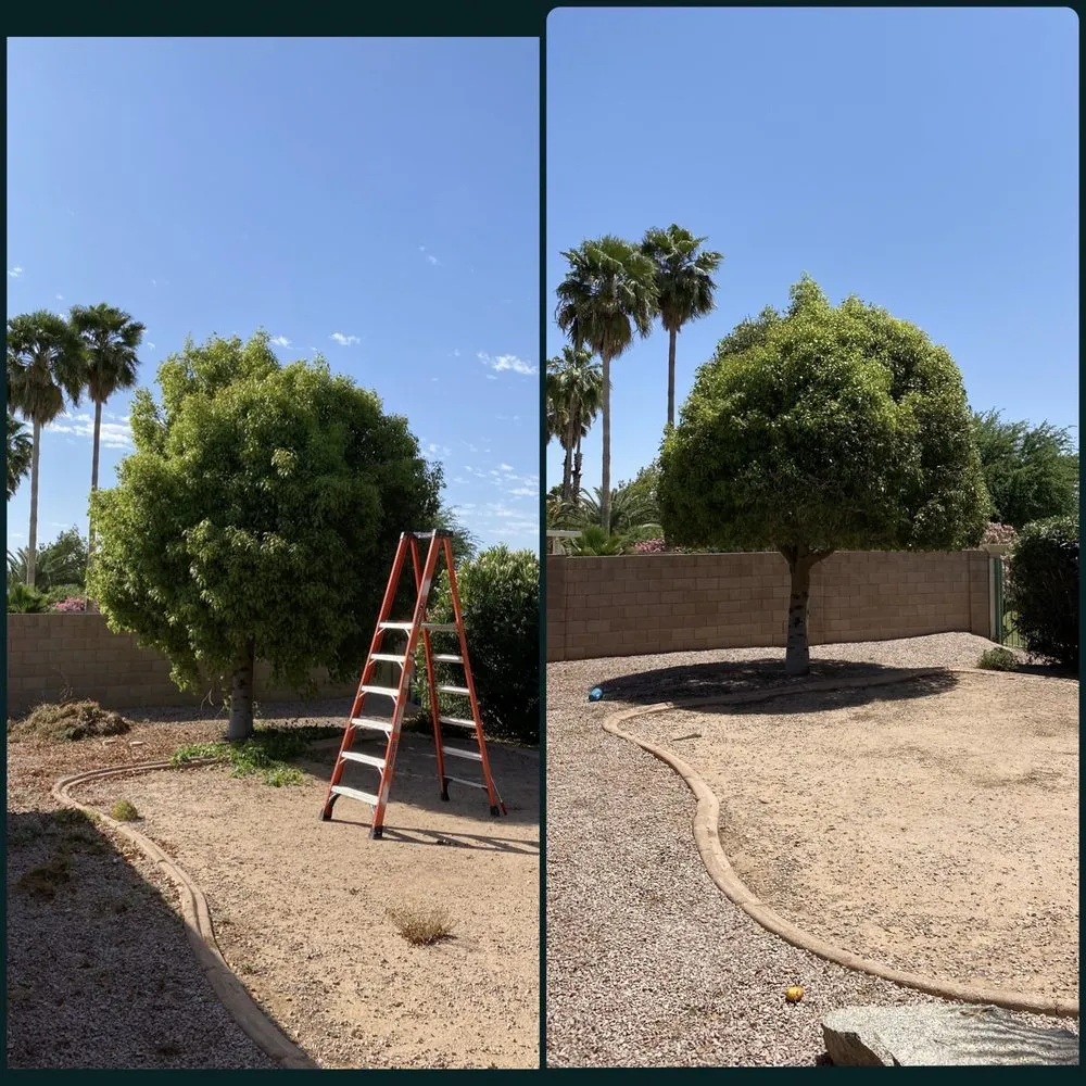 Reliable lawn mowing service in Surprise, AZ - Pete's Lawn care