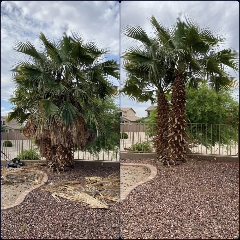 Top-rated landscape design in Surprise, AZ by Pete's Lawn care