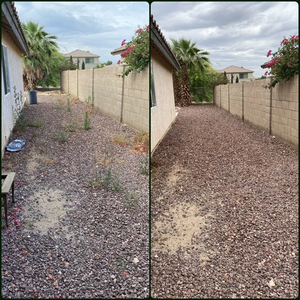 Top-rated landscaping services for beautiful yards across Surprise, AZ - Pete's Lawn care