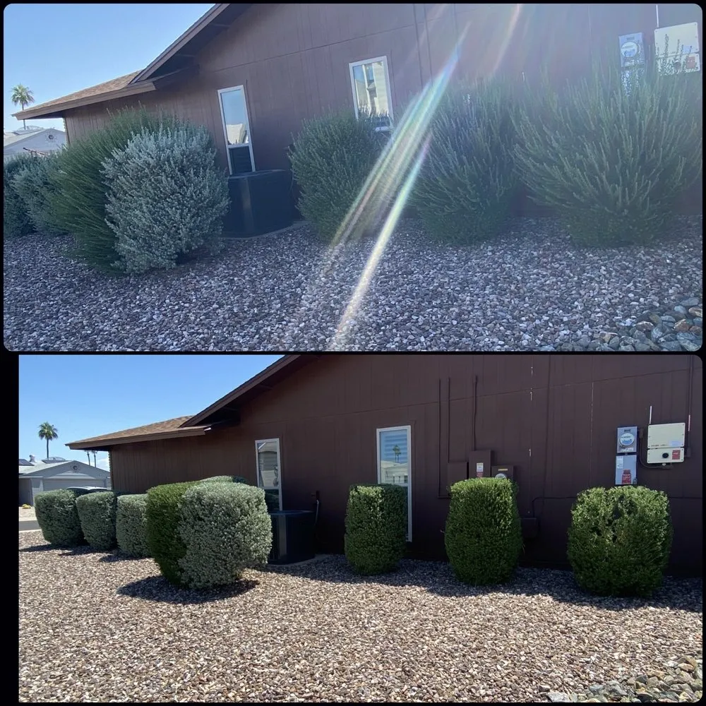 Local yard maintenance in Surprise, AZ by Pete's Lawn care