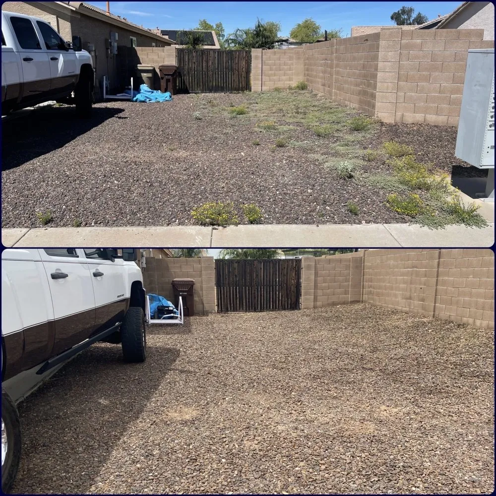 Trusted garden landscaping for homes across Surprise, AZ - Pete's Lawn care