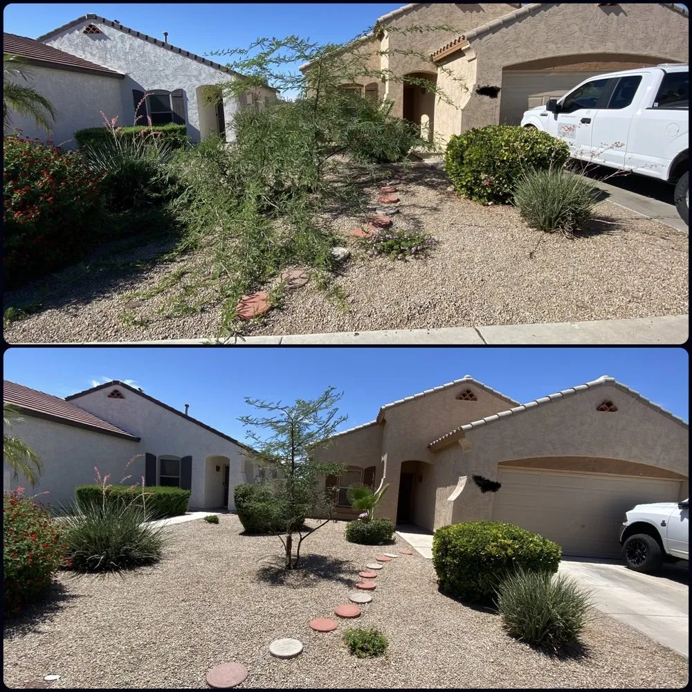 Local outdoor landscaping for beautiful yards across Surprise, AZ - Pete's Lawn care