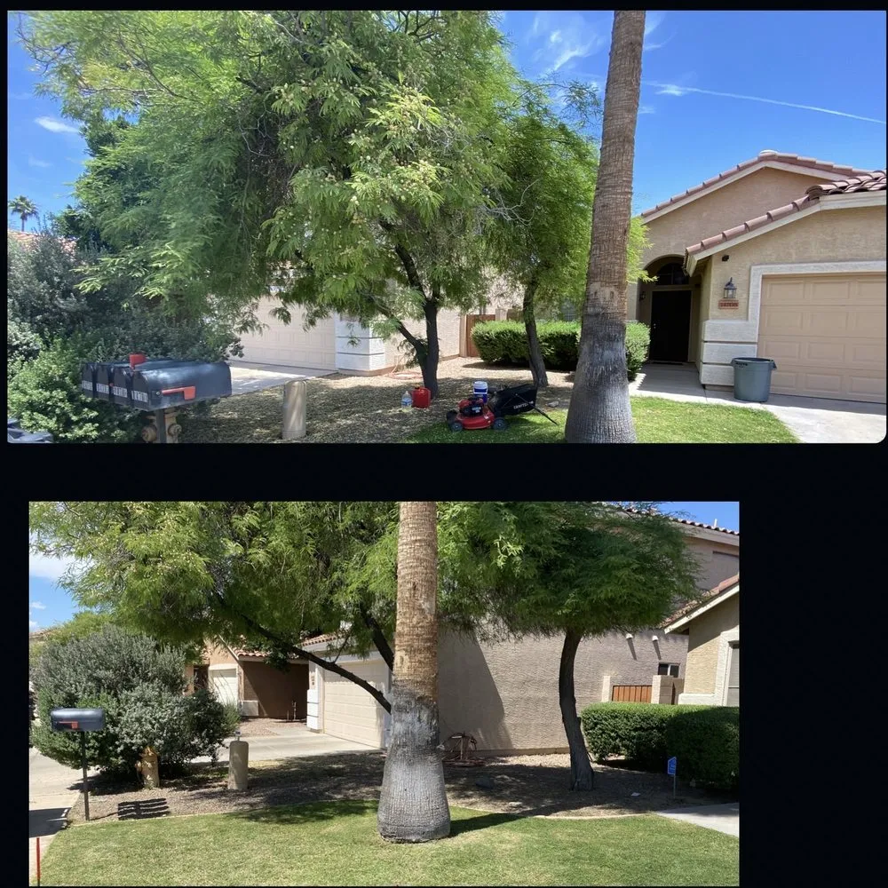 Reliable lawn care service for residential properties in Surprise, AZ by Pete's Lawn care