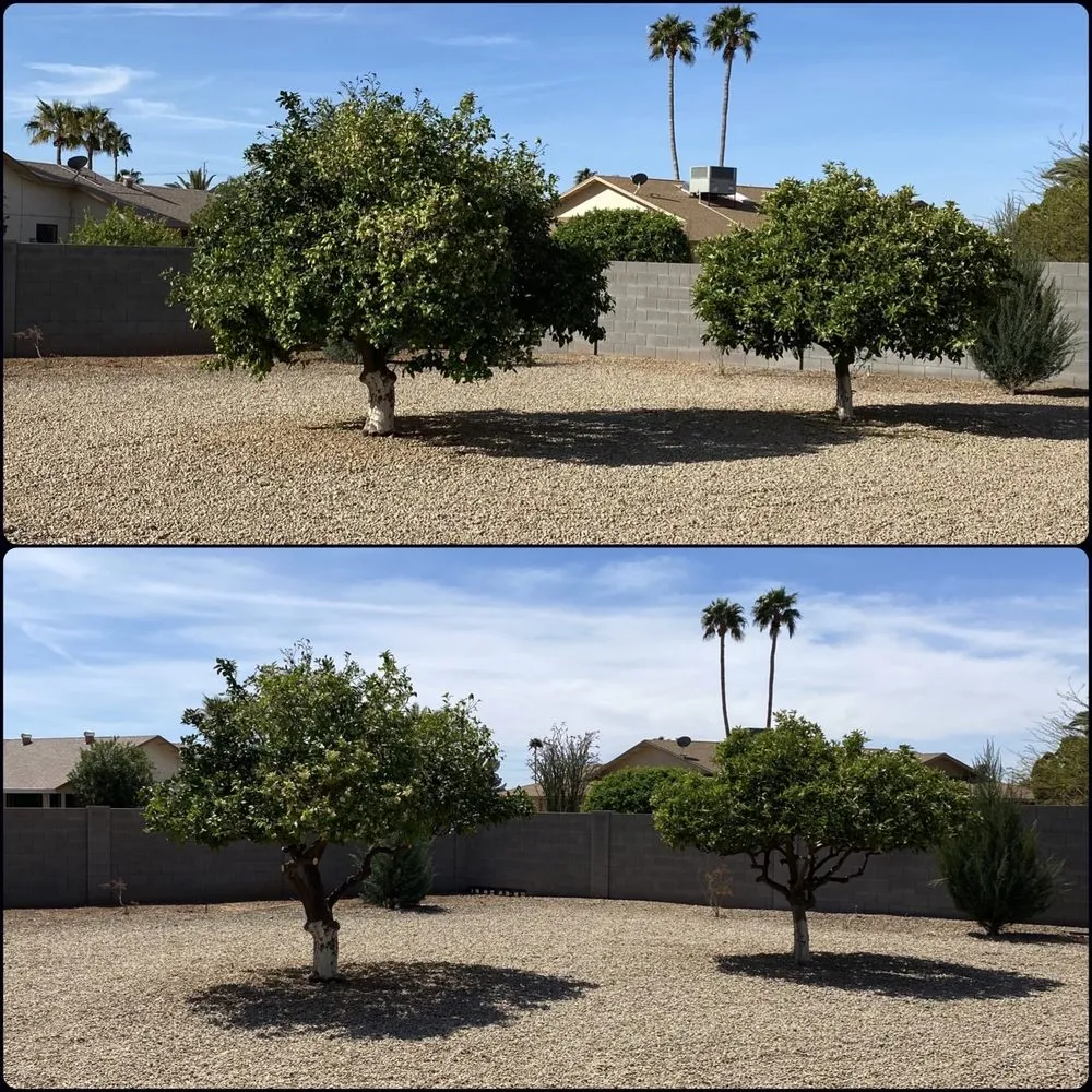 Local landscape design in Surprise, AZ by Pete's Lawn care