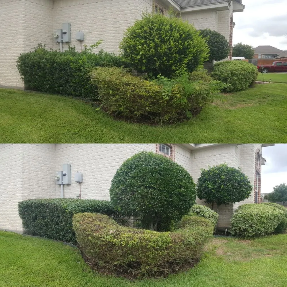 Top-rated lawn care service near you across Hewitt, TX - Pete's Lawn Service