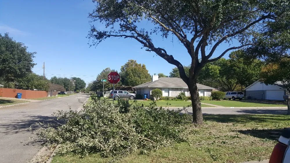 Local yard maintenance in Hewitt, TX by Pete's Lawn Service