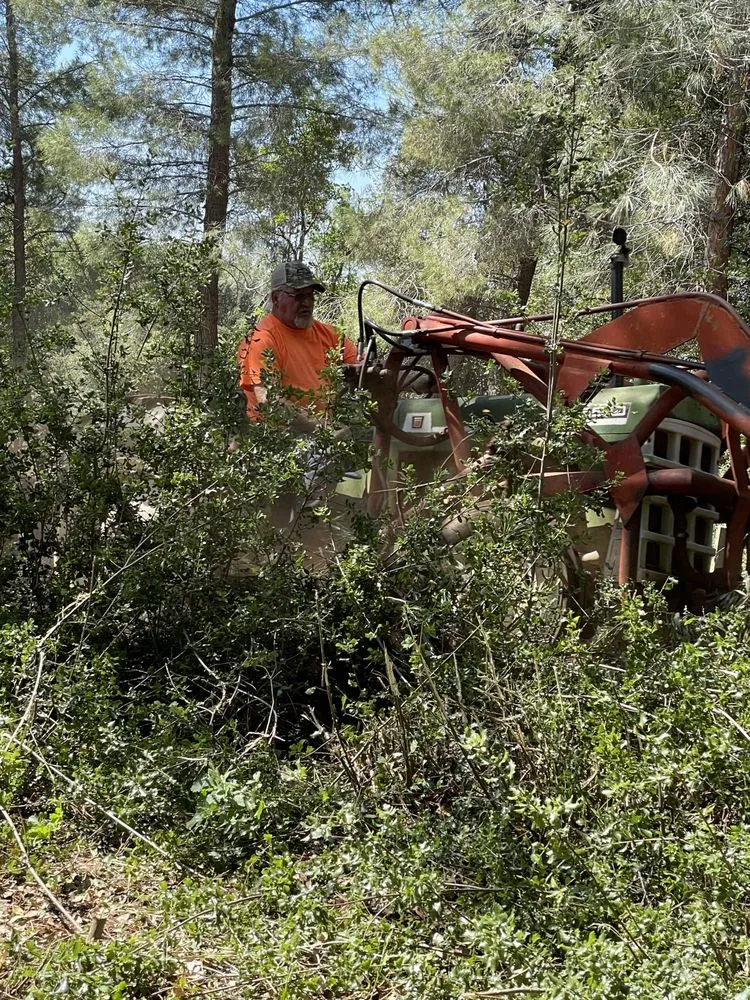 Affordable residential landscaping in Anderson, CA by Pete’s yard and tree service
