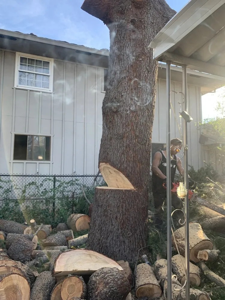 Local lawn mowing service for outdoor upgrades across Anderson, CA - Pete’s yard and tree service