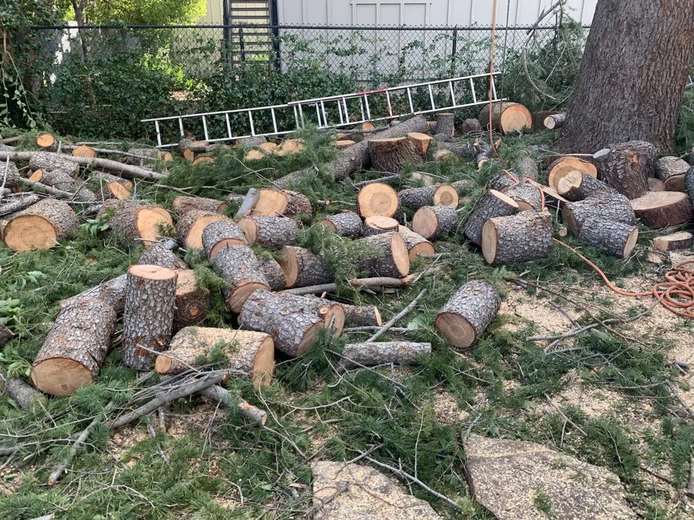 Custom landscape installation for year-round maintenance across Anderson, CA - Pete’s yard and tree service