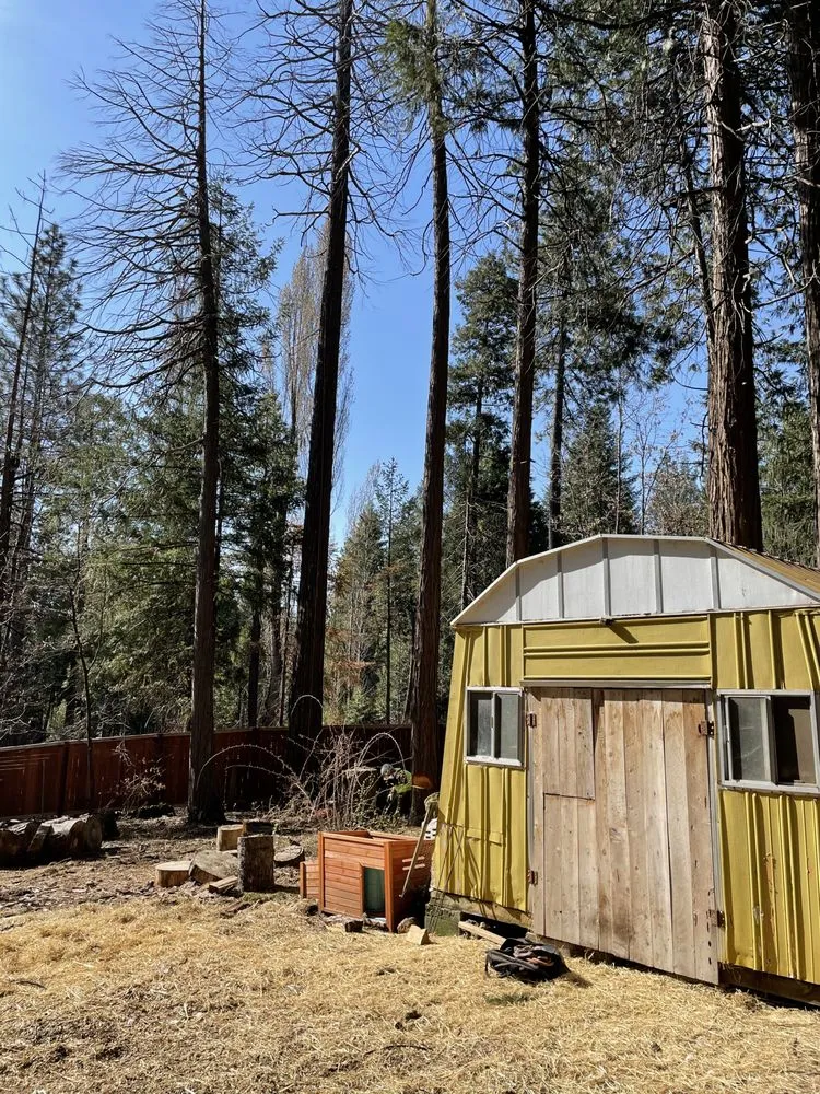 Affordable garden landscaping for beautiful yards across Anderson, CA - Pete’s yard and tree service