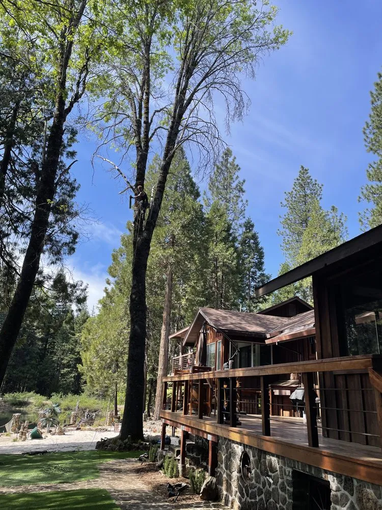 Custom yard maintenance with custom design in Anderson, CA by Pete’s yard and tree service