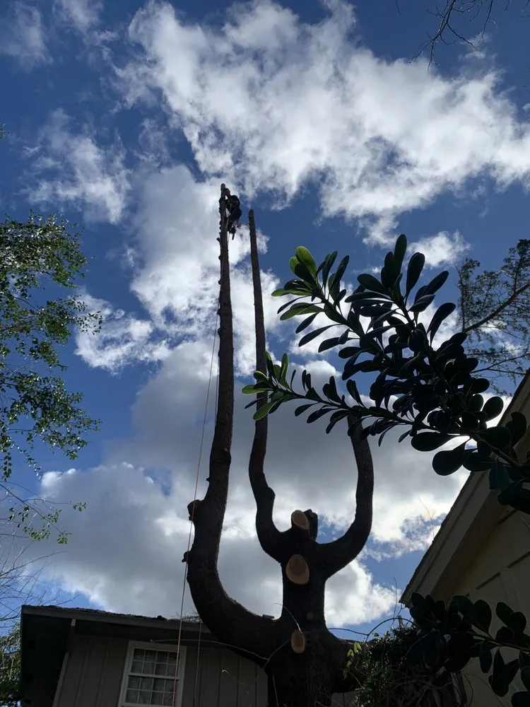 Reliable outdoor landscaping in Anderson, CA - Pete’s yard and tree service