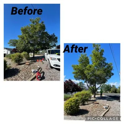 Pete’s yard and tree service