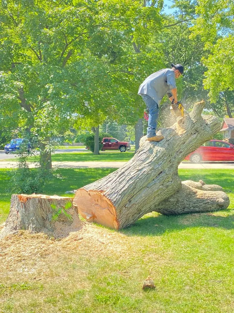 Expert landscape design near you in sugar grove, IL by Petetree’s landscapes