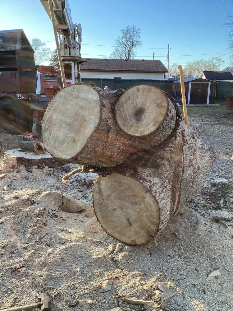 Reliable landscape installation in sugar grove, IL by Petetree’s landscapes