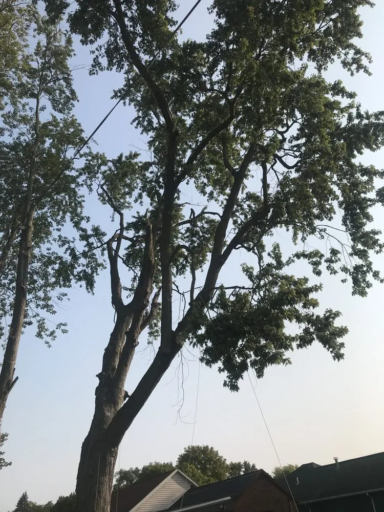 Local outdoor landscaping in sugar grove, IL by Petetree’s landscapes