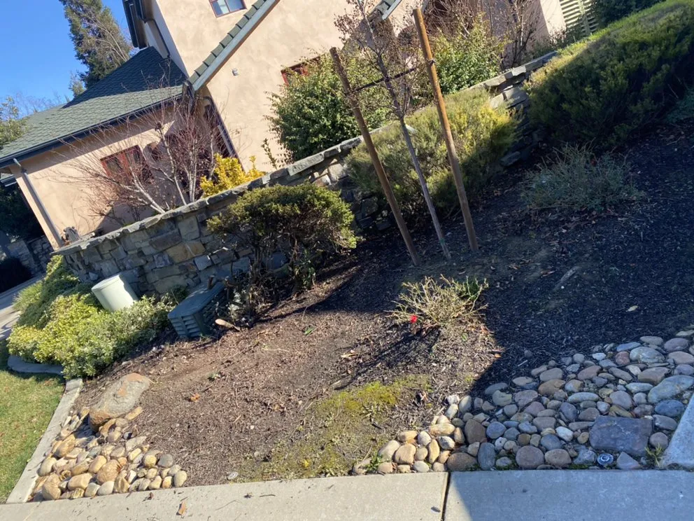 Professional yard maintenance in Lodi, CA by Petey's Demo and Trash Disposal