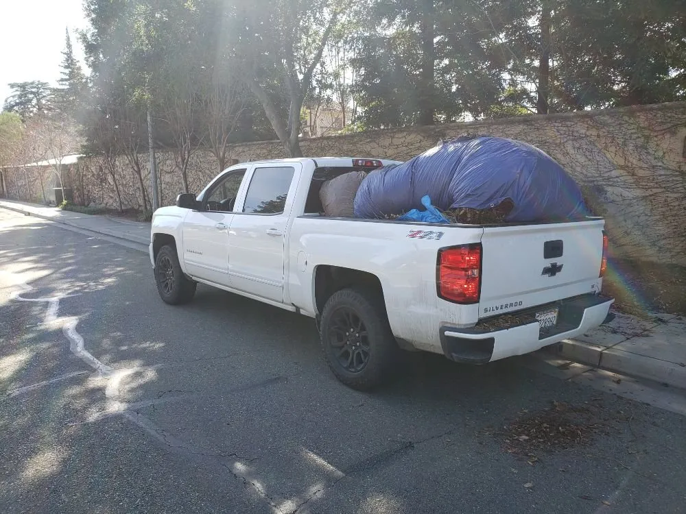 Expert landscaping services in Lodi, CA by Petey's Demo and Trash Disposal