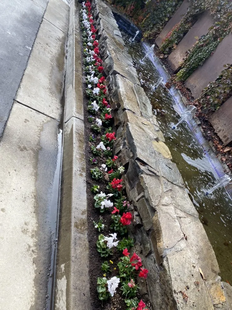 Custom yard cleanup service for outdoor upgrades across Lodi, CA - Petey's Demo and Trash Disposal