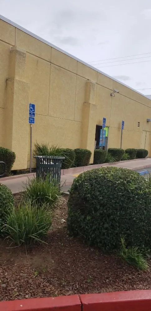 Affordable garden landscaping in Lodi, CA - Petey's Demo and Trash Disposal