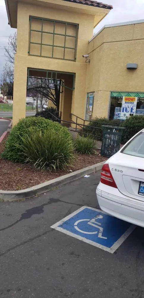 Affordable outdoor landscaping in Lodi, CA by Petey's Demo and Trash Disposal