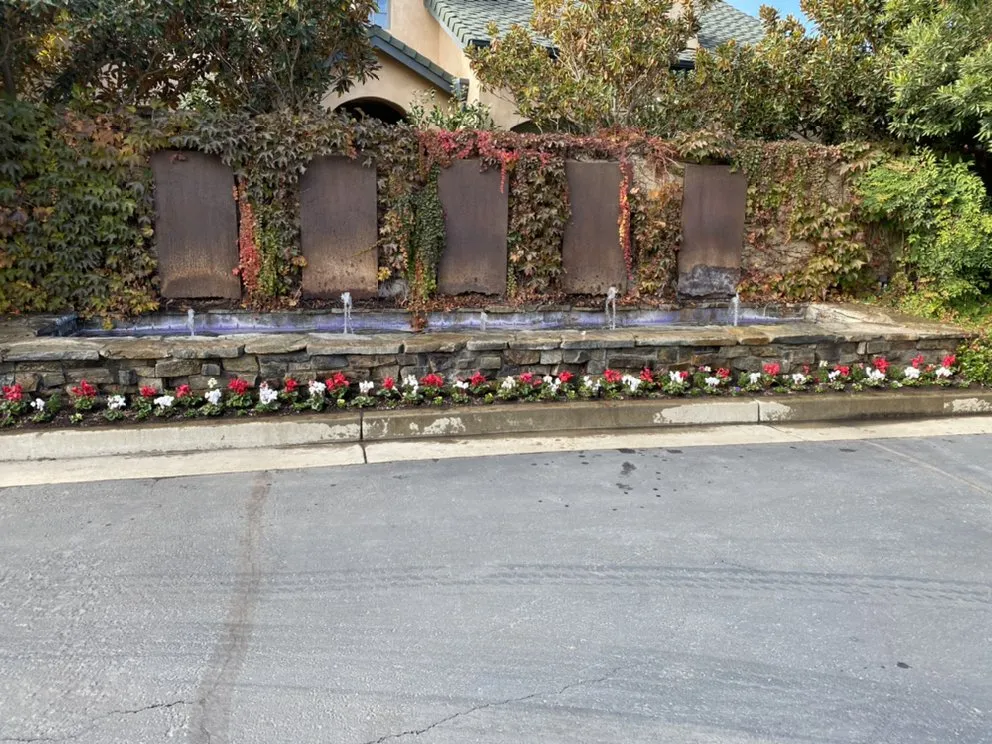 Trusted lawn care service experts serving Lodi, CA - Petey's Demo and Trash Disposal