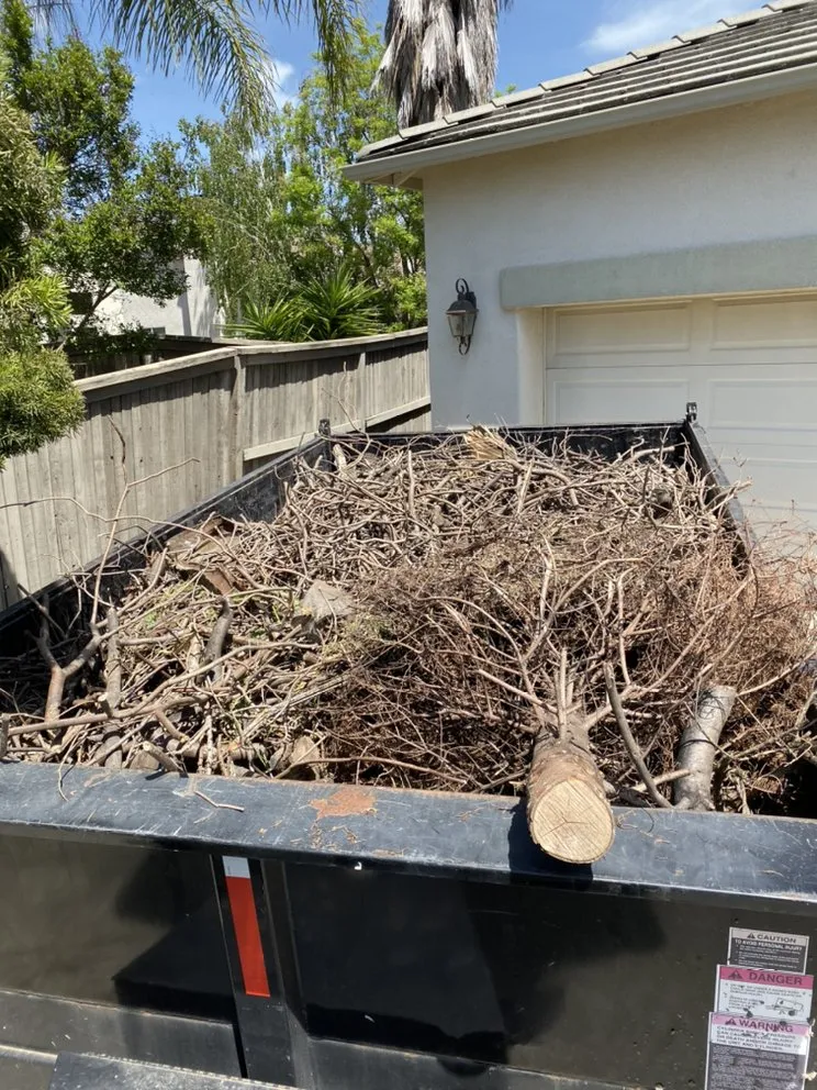 Expert lawn mowing service in Lodi, CA - Petey's Demo and Trash Disposal