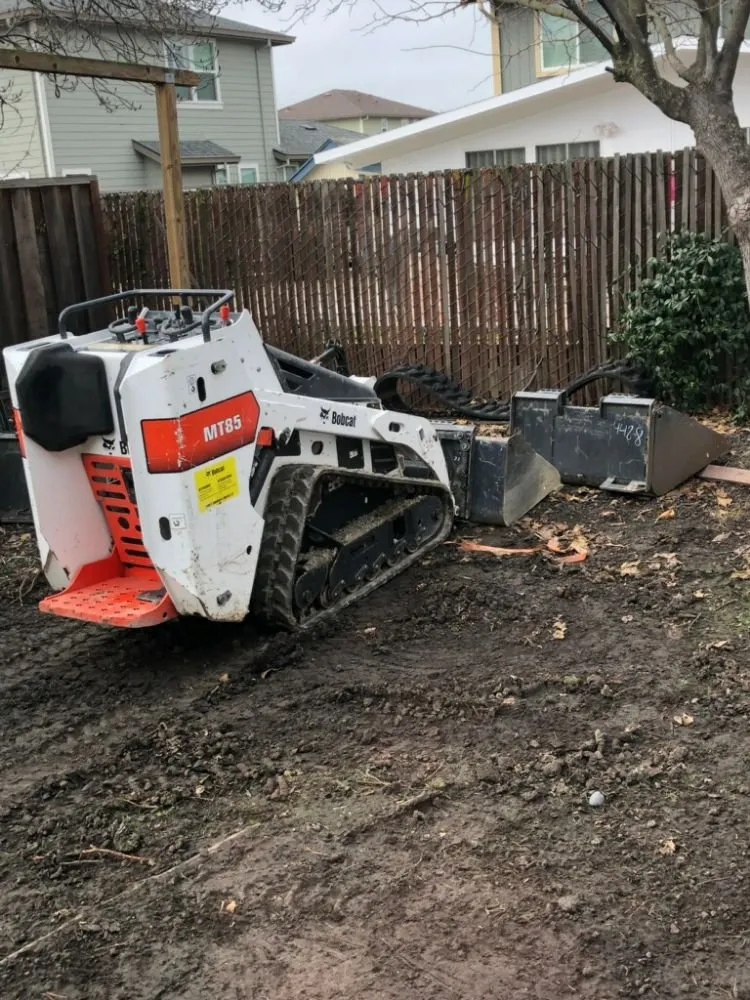 Top-rated outdoor landscaping for beautiful yards across Lodi, CA - Petey's Demo and Trash Disposal